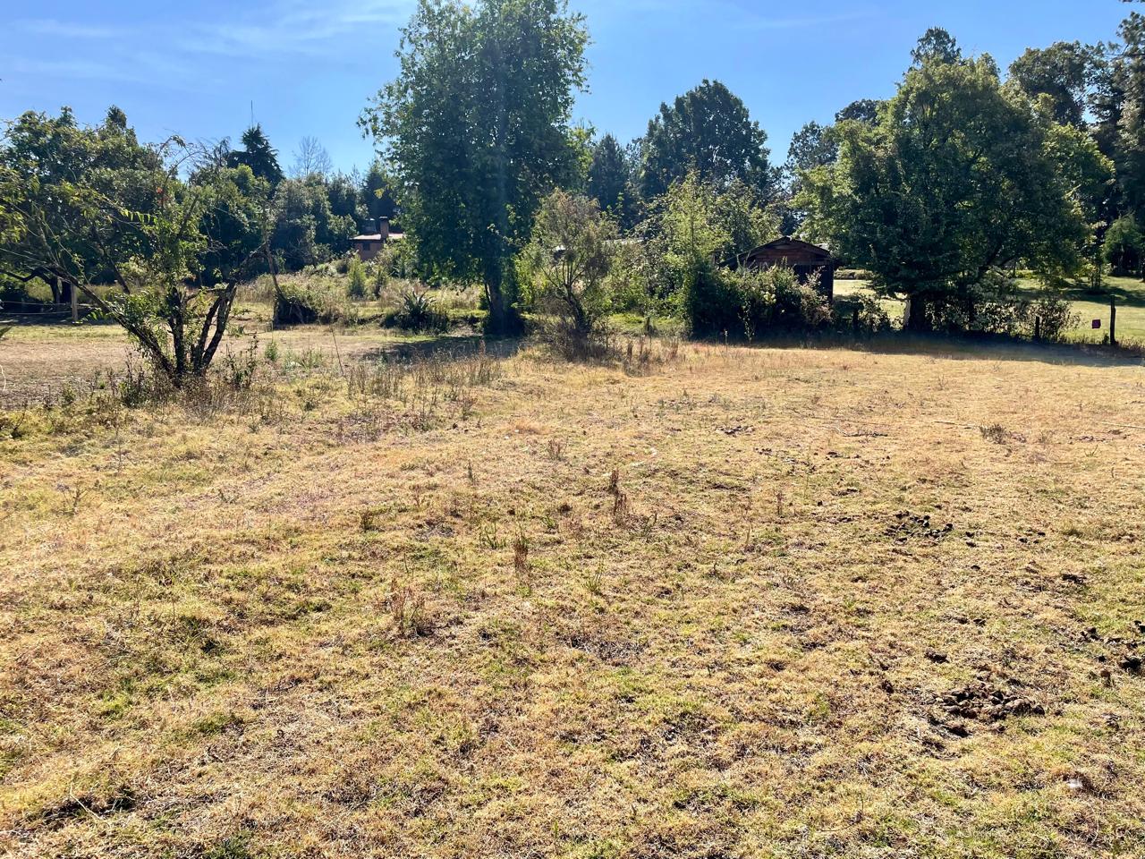 TERRENO EN VENTA EN SAN SIMON