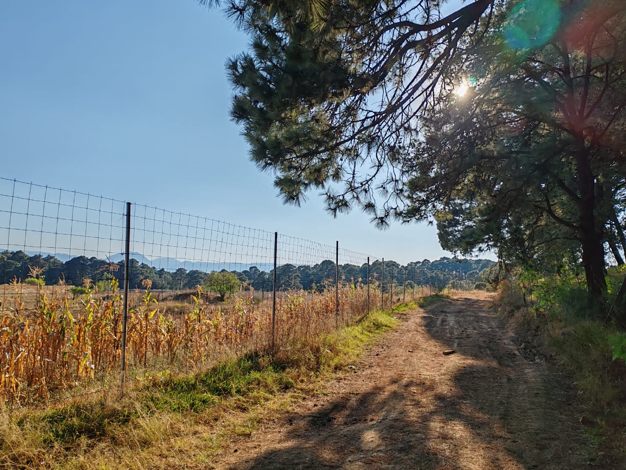 TERRENO EN VENTA EN DONATO GUERRA