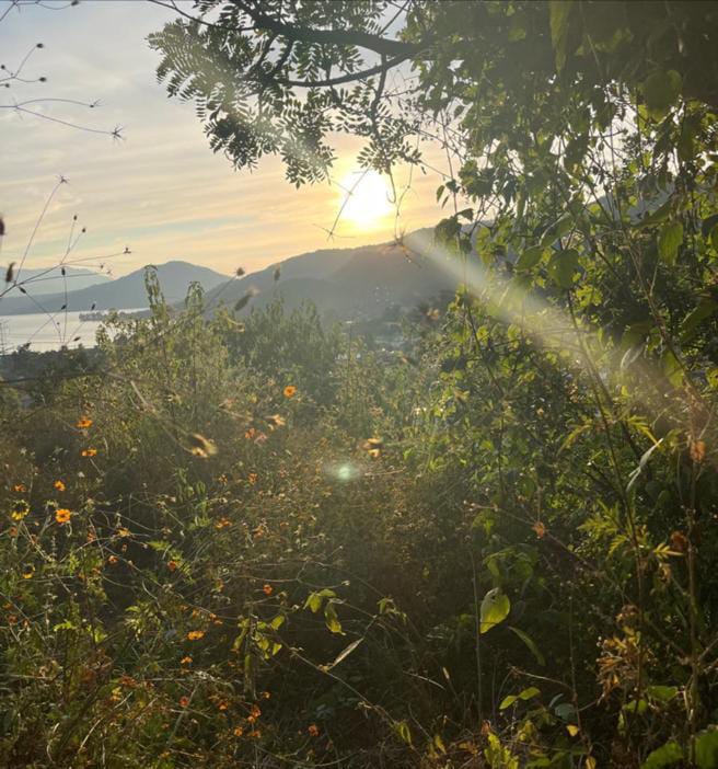 TERRENOEN VENTA EN SAN GASPAR