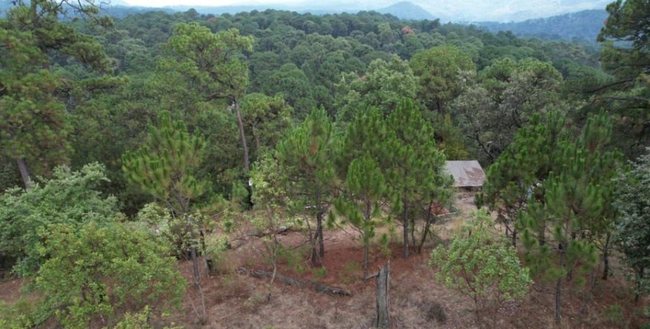 TERRENO EN VENTA EN VALLE DE BRAVO