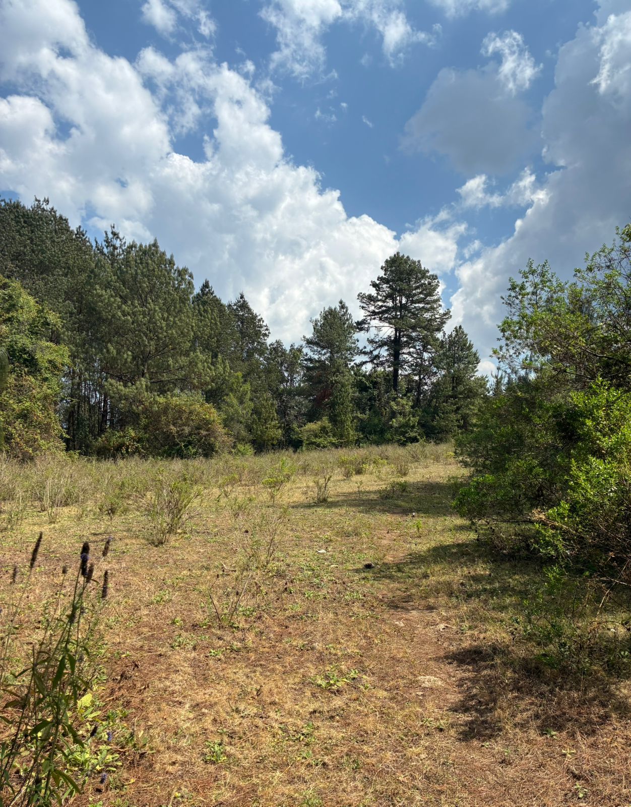 TERRENO EN VENTA EN CERRO GORDO VALLE DE BRAVO