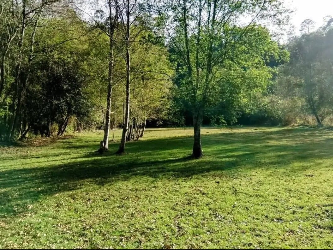 TERRENO EN VENTA EN AMANALCO