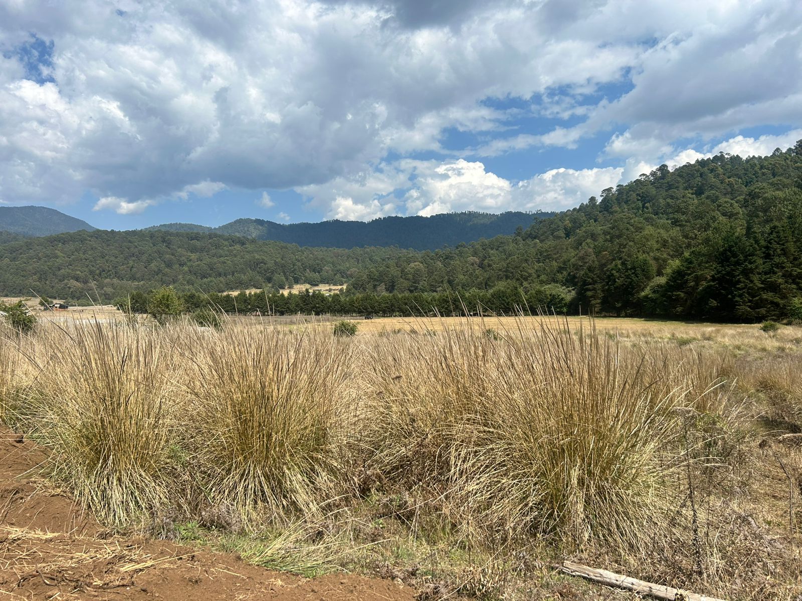 TERRENO EN VENTA EN LOS SAUCOS, VALLE DE BRAVO