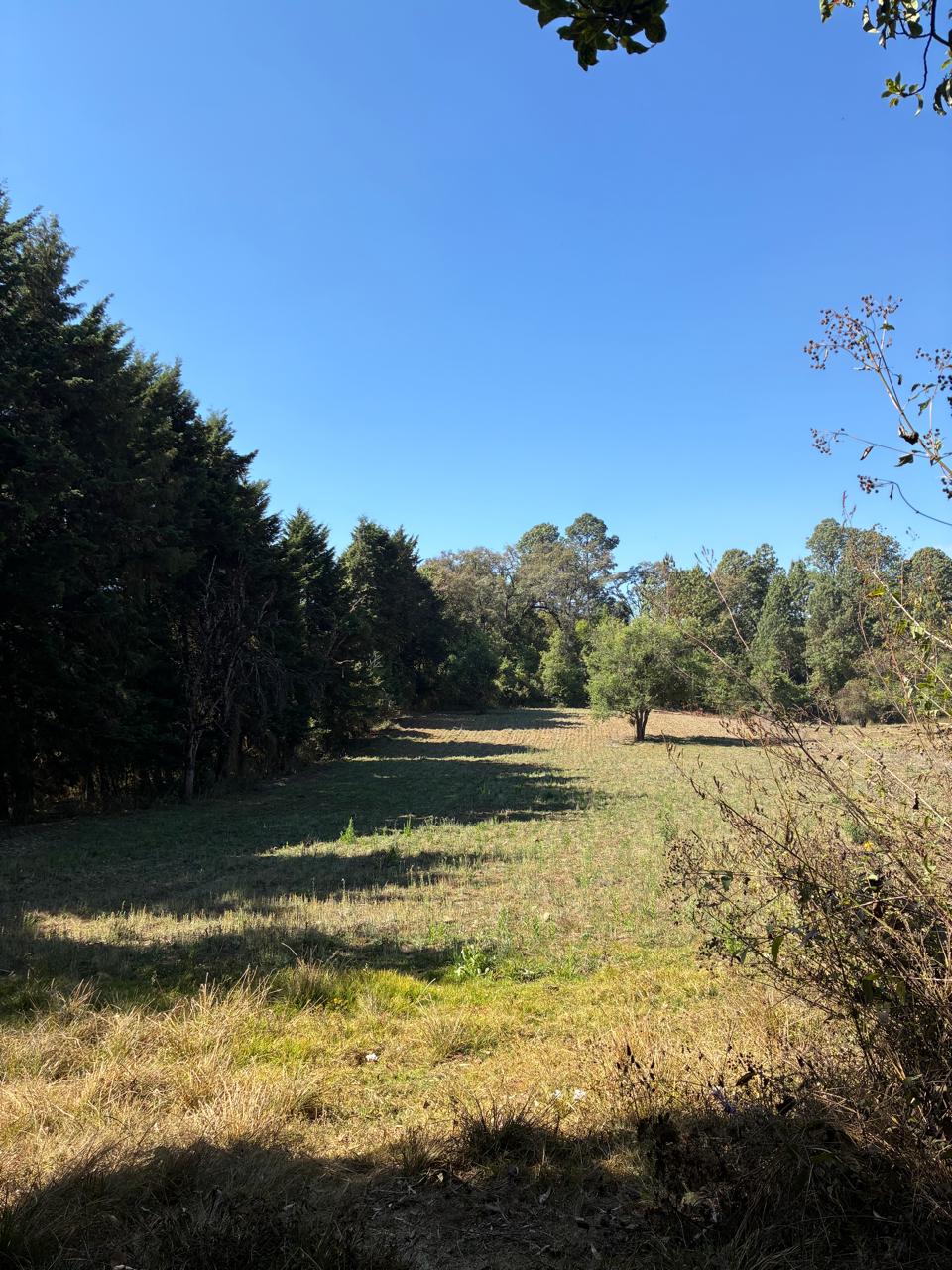 TERRENO EN VENTA