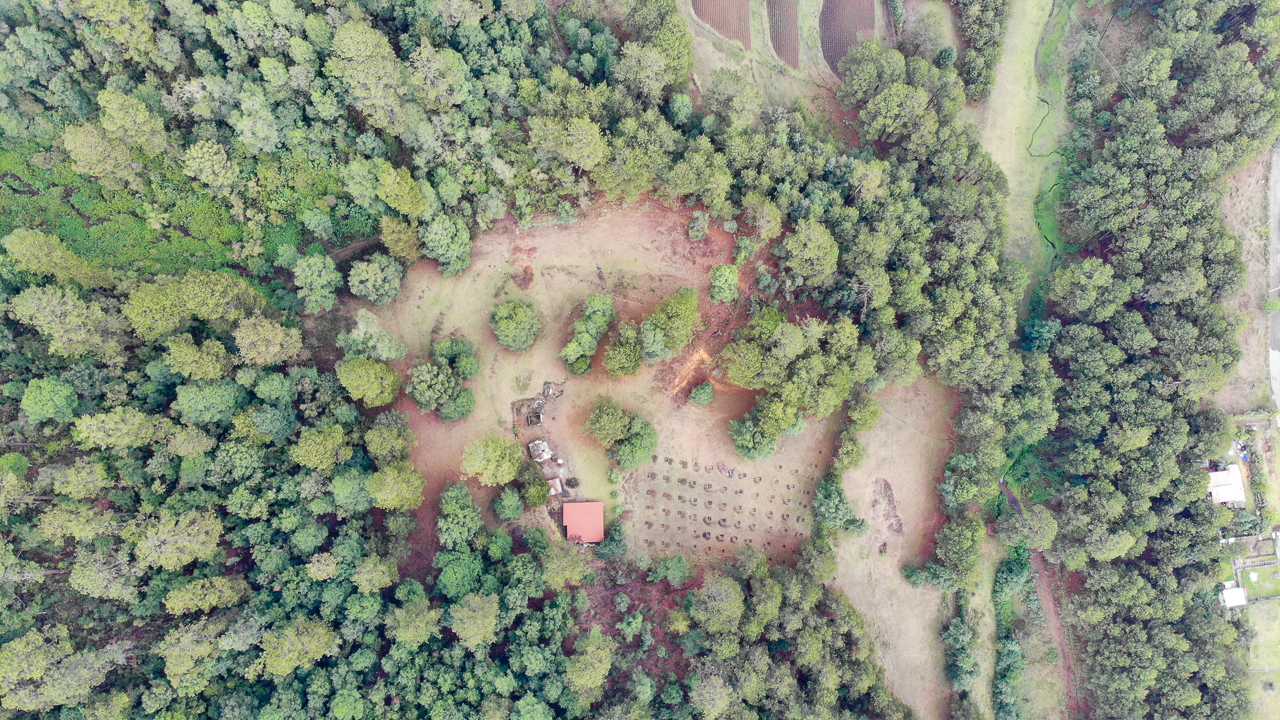 TERRENO EN VENTA EN SAUCOS