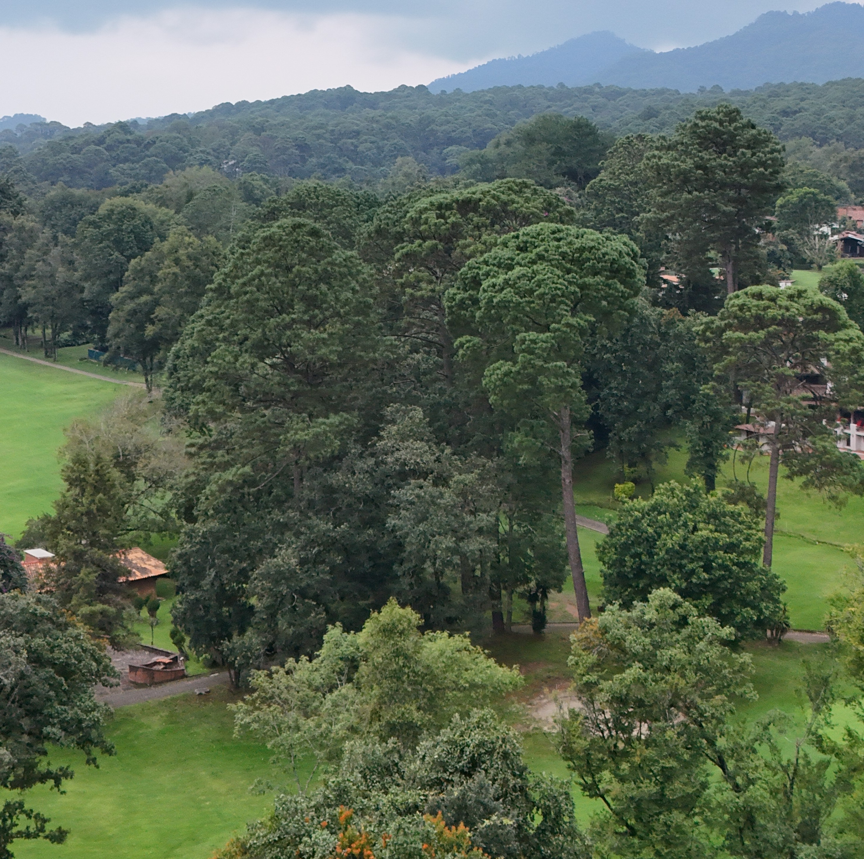 TERRENO EN VENTA EN AVANDARO